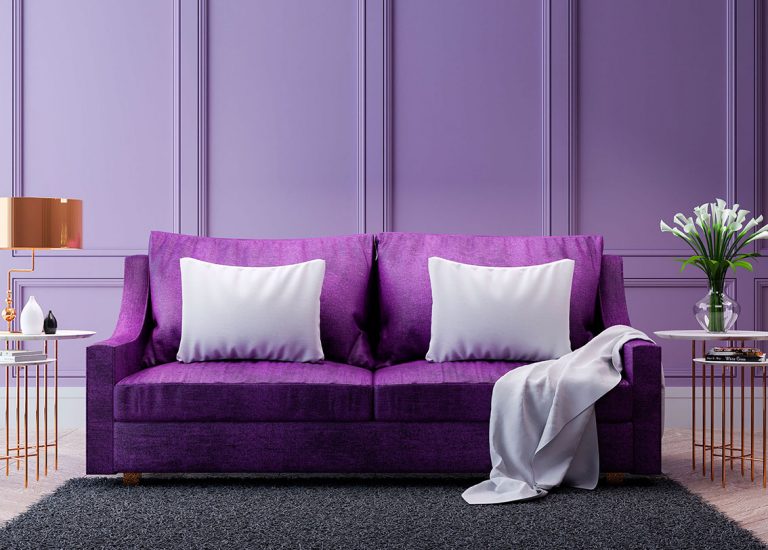 Zimmer mit lila Wand und lila Sofa