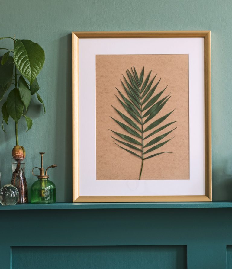 Bilderrahmen mit einem Palmenblatt als Motiv stehend vor einem grünen Hintergrund