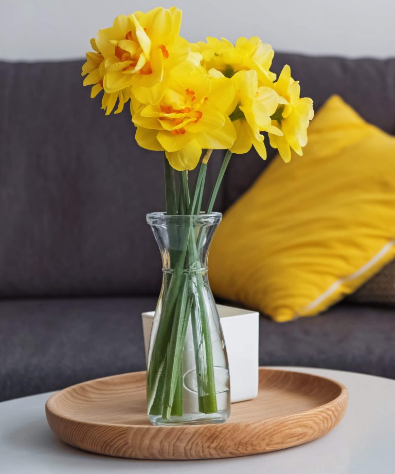 Vase mit gelben Blumen