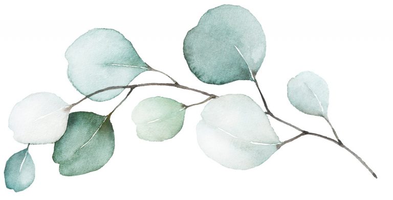 Zeichnung eines Astes mit Blättern