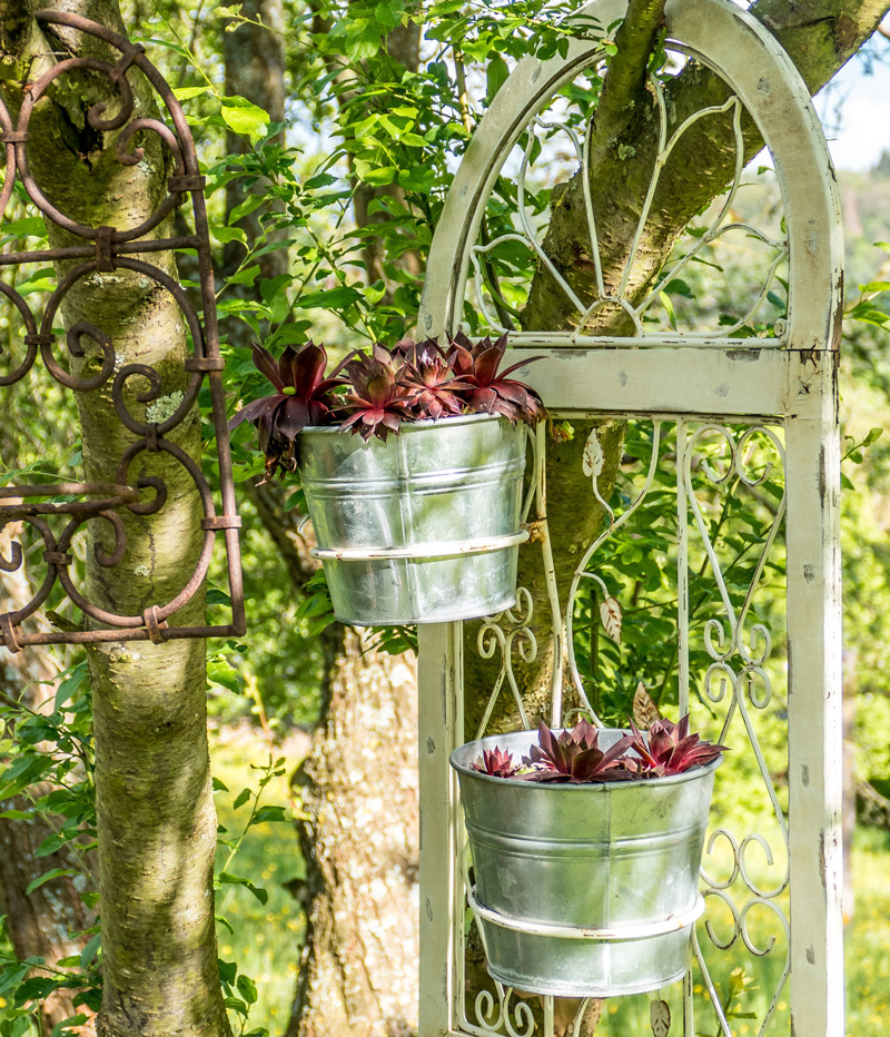 Mein verträumter Garten! DIY Deko & Einrichtungsidee auf Ellys Home