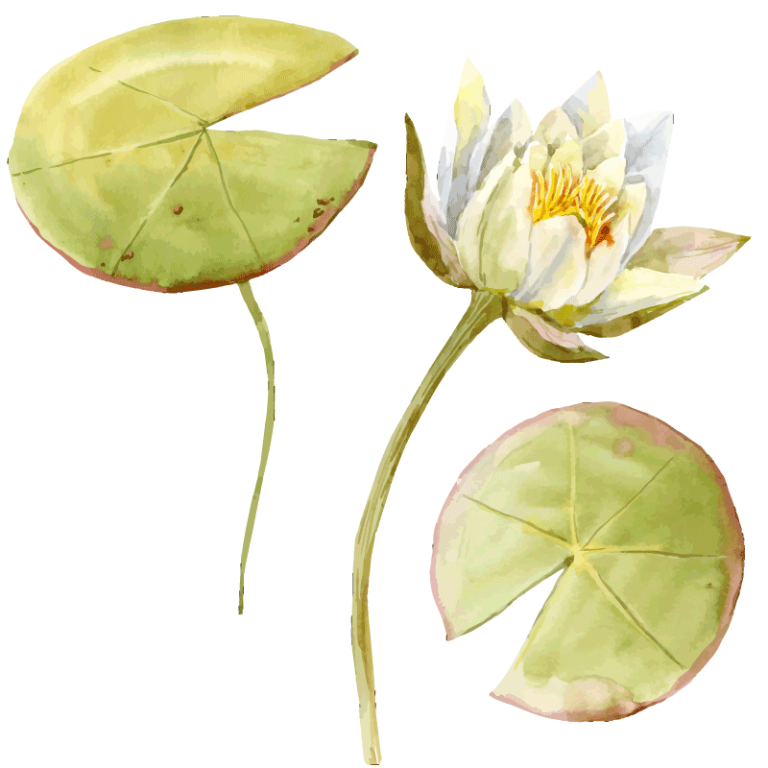 gemalte Lotusblume
