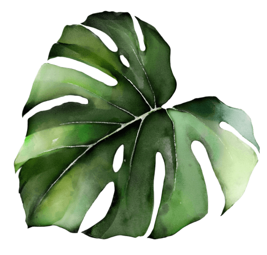 Pflanzenblatt in Aquarelle