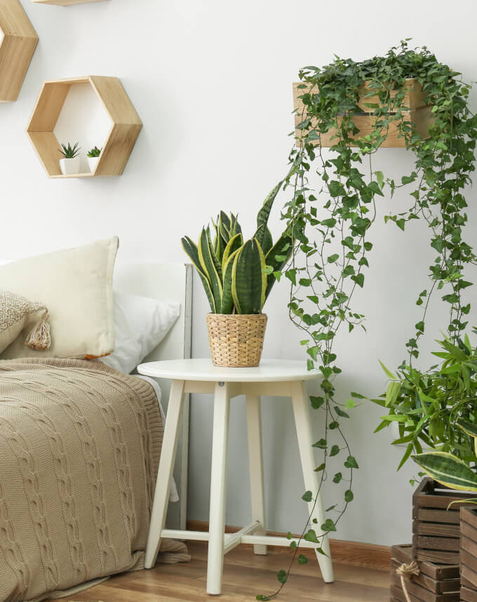 Schlafzimmer mit Holzkisten oder Hexagon Wandregalen bepflanzt
