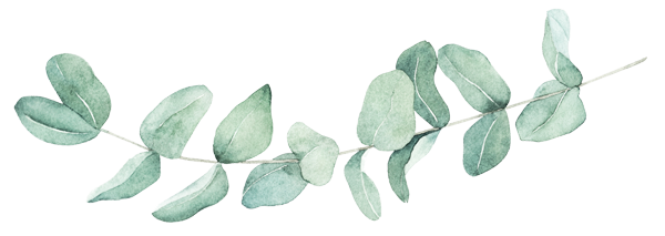 Zeichnung Pflanze, aquarell