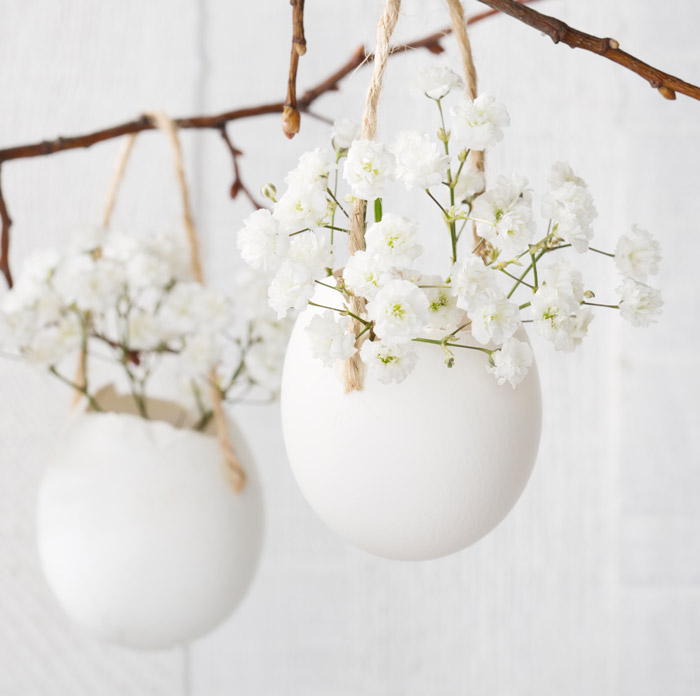 bepflanze weiße Eierschalen hängend an Ast
