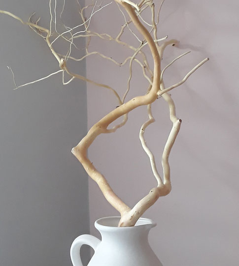 Zweige in Vase