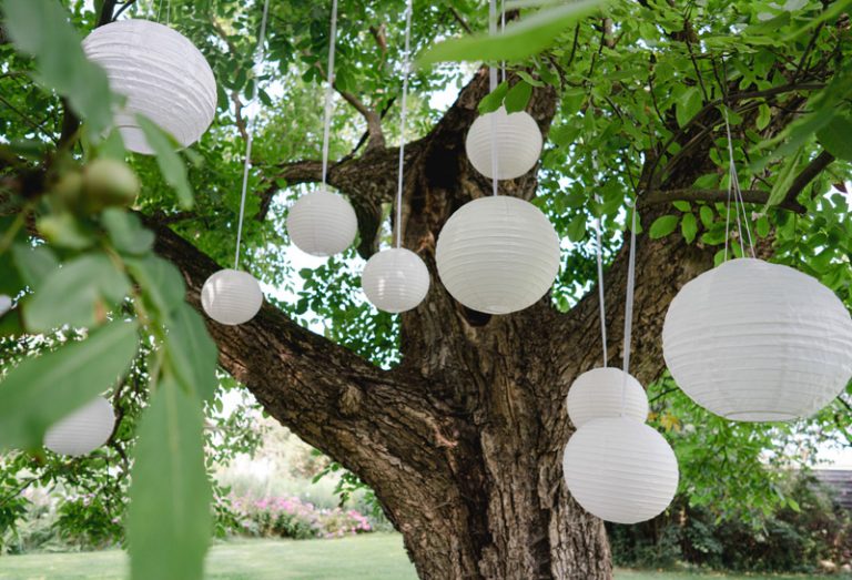 weiße Lampions hängend im Baum