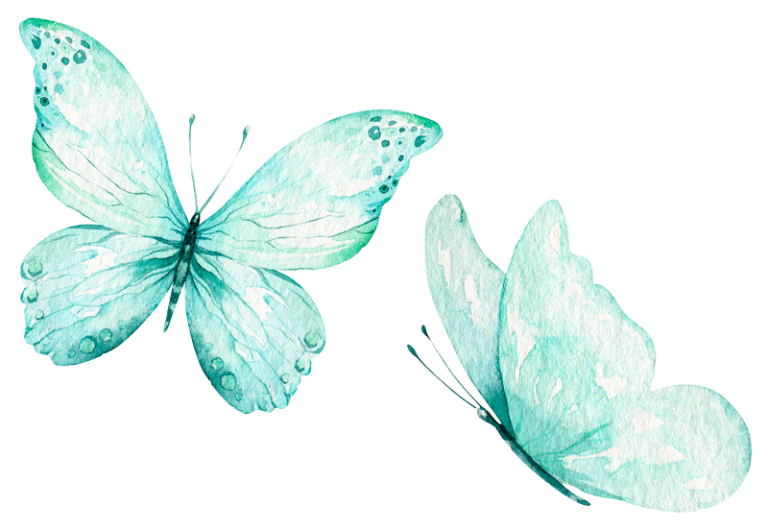 Aquarellzeichnung Schmetterlinge