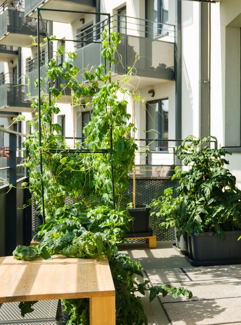 Balkon mit vielen Pflanzen